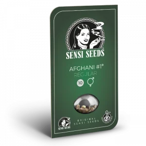 Afghani #1 Regular Sensi Seeds