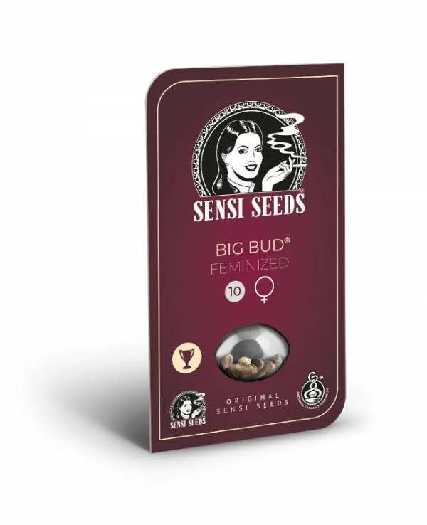 Big Bud Feminizada (Sensi Seeds)