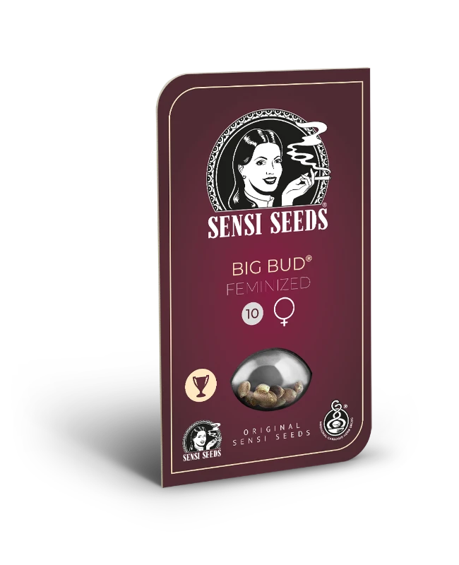 Big Bud Feminizada (Sensi Seeds)