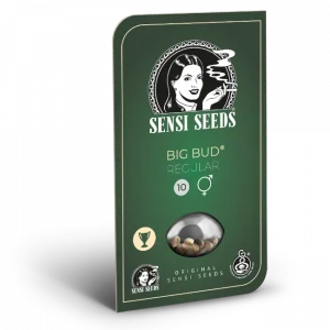 Big Bud Regular (Sensi Seeds)