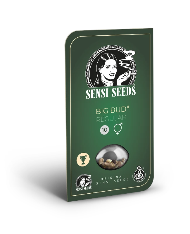 big-bud-regular-sensi-seeds