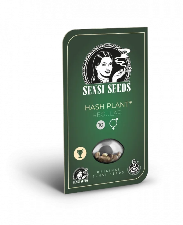 Hash Plant (Sensi Seeds) Regular