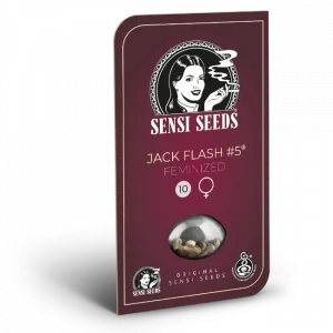 Jack Flash #5 Feminizada (Sensi Seeds)