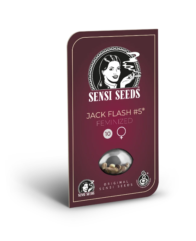 Jack Flash #5 Feminizada (Sensi Seeds)