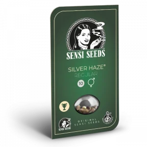 Silver Haze Regular (Sensi Seeds)