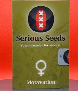 Motavation (Serious Seeds) Feminizada