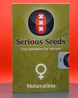 Motavation (Serious Seeds) Feminizada