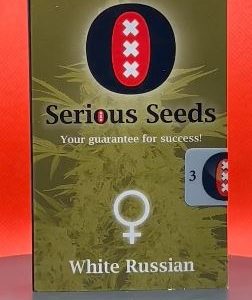 White Russian Regular (Serious Seeds)