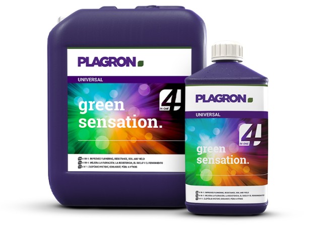 green-sensation-plagron