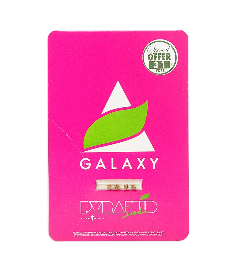 Galaxy (Pyramid Seeds)