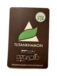 Tutankhamon (Pyramid Seeds) Feminizada