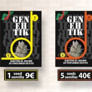 Kritikal Bilbo Auto (Genehtik Seeds)