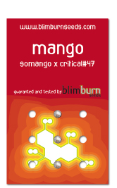 Mango (Blim Burn Seeds) Semilla feminizada Marihuana