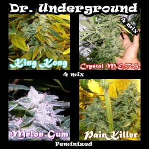 Killer Mix 4 (Dr. Underground Seeds) Pack 4 Semillas Feminizadas Cannabis