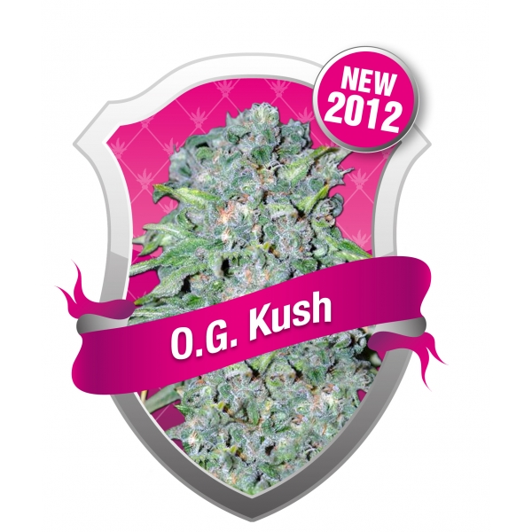 O.G. Kush (Royal Queen Seeds) Semilla cannabis Feminizada