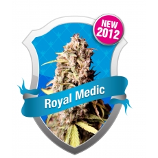 Royal Medic CBD Feminizada (Royal Queen Seeds)
