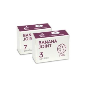 Banana Joint Feminizada Elite Seeds