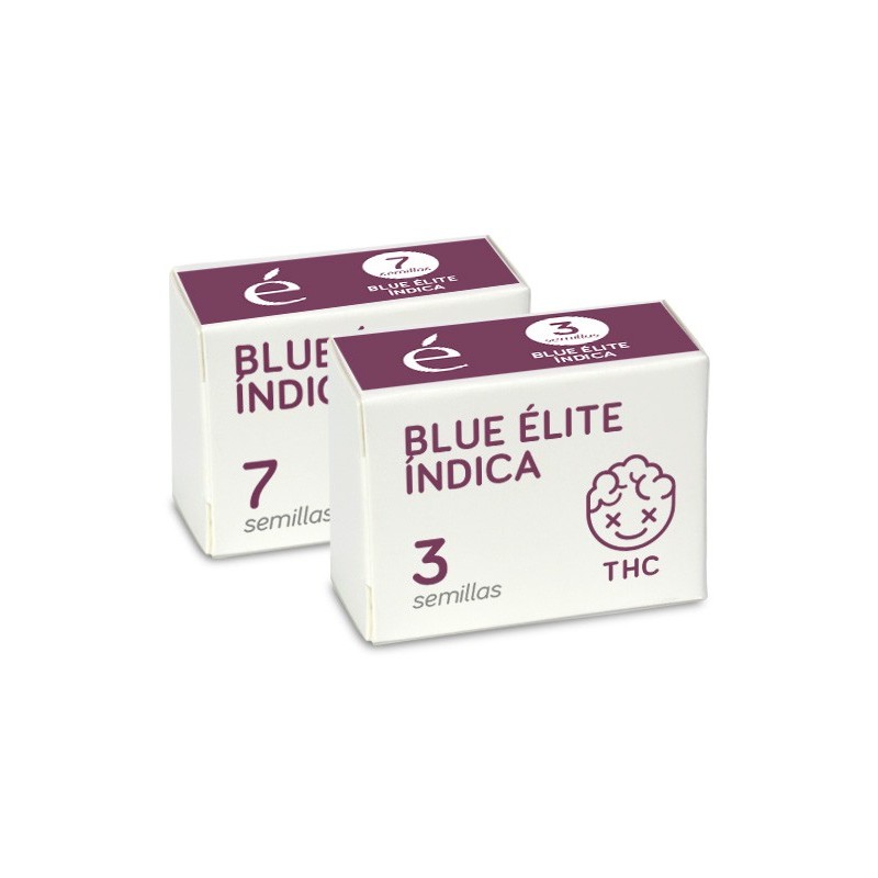 Blue Elite Indica Feminizada Elite Seeds