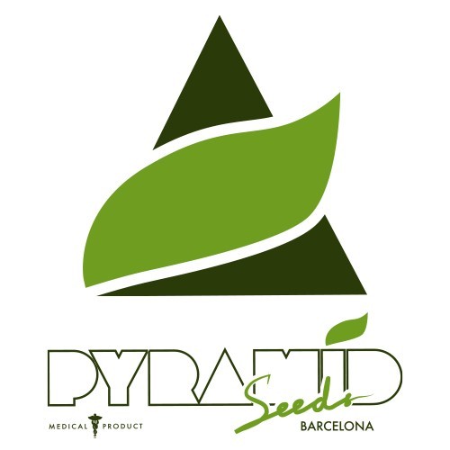 pyramid-seeds-logo