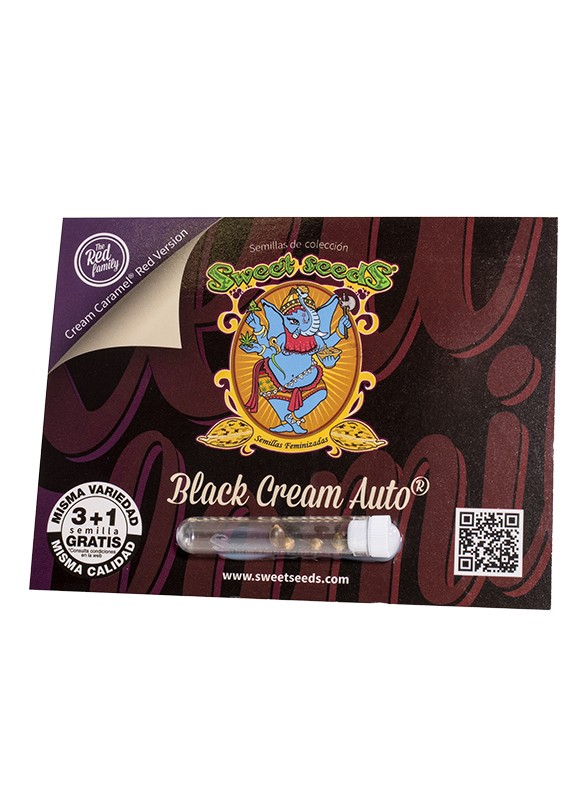 black-cream-auto-the-red-family-sweet-seeds