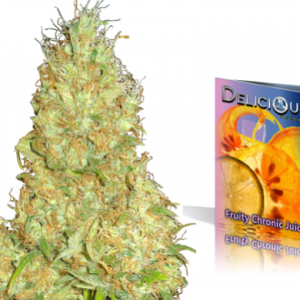 Fruity Chronic Juice (Delicious Seeds) Semilla de Cannabis Feminizada