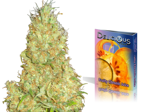 Fruity Chronic Juice (Delicious Seeds) Semilla de Cannabis Feminizada