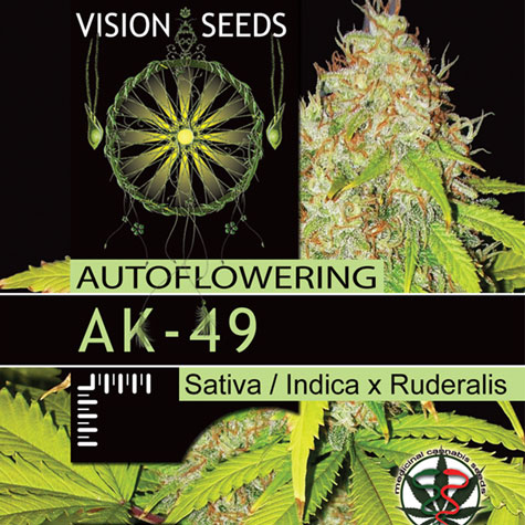AK-49 (Vision Seeds) Semilla feminizada