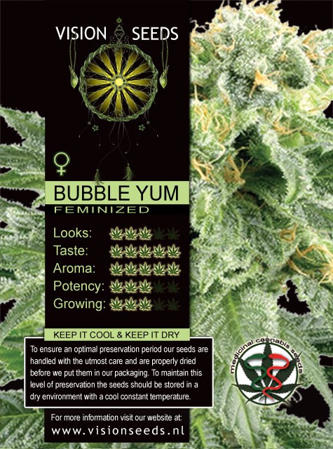 Bubble Yum Vision Seeds Semilla Feminizada de Marihuana
