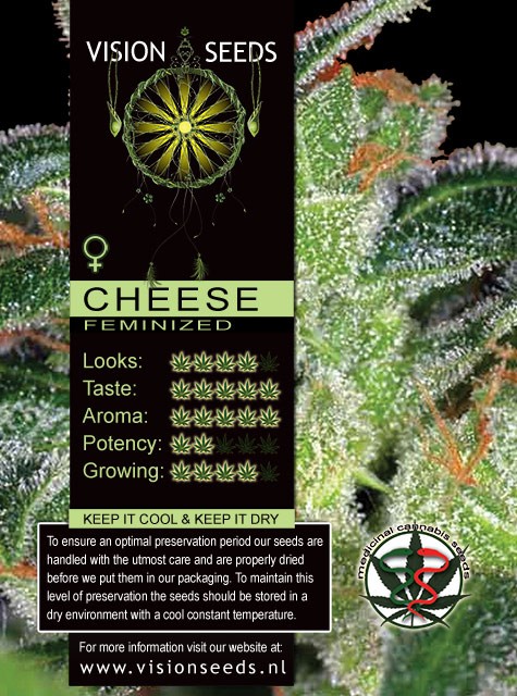 Cheese (Vision Seeds) Semilla Feminizada