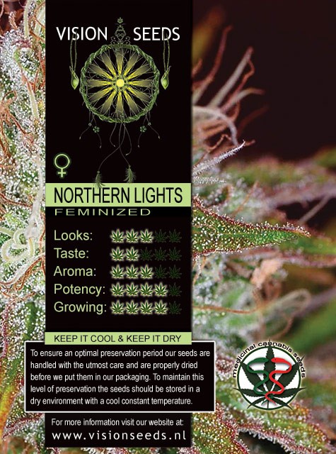 Northern Lights (Vision Seeds) Semilla Cannabis Feminizada