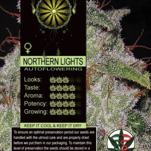 Northern Lights Auto Vision Seeds