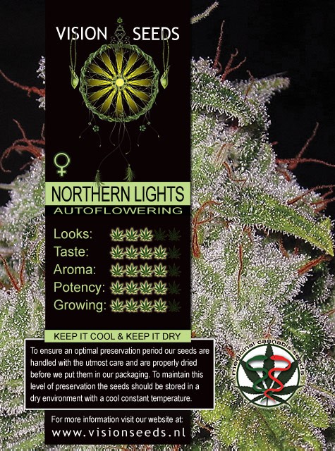 Northern Lights Auto Vision Seeds