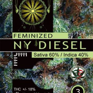 NY Diesel Vision Seeds Semilla Feminizada