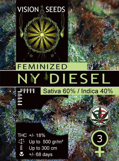NY Diesel Vision Seeds Semilla Feminizada