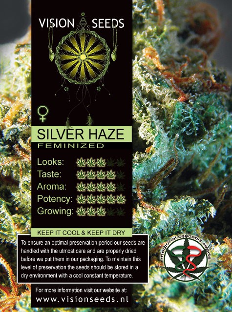 Silver Haze Vision Seeds