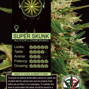 Super Skunk Auto Feminizada (Vision Seeds)