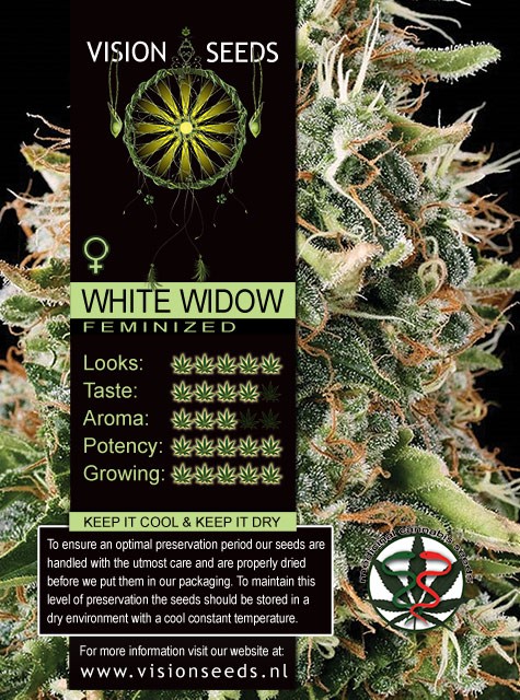 White Widow Semilla Feminizada de Marihuana