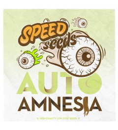 Auto Amnesia Speed Seeds Semilla Feminizada Automática Granel Barata