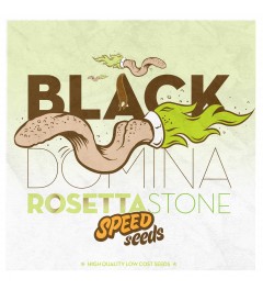 Black Domina x Rosetta Stone 60 unds (Speed Seeds) Semilla Feminizada Granel barata