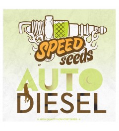 Auto Diesel 60 unds (Speed Seeds) Semilla Autofloreciente Feminizada Cannabis,