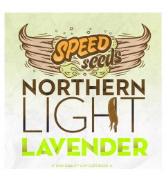Northern Light x Lavender 60 unds (Speed Seeds)