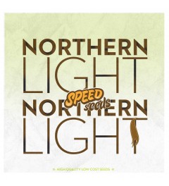 Northern Light x Northern Light 60 unds (Speed Seeds) Semilla Feminizada Cannabis