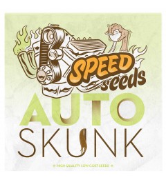 Auto Skunk 60 unds (Speed Seeds) Semilla Feminizada Autofloreciente Cannabis