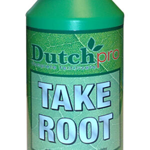 Take Root (Dutch Pro) antigua