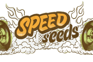 speed-seeds-logo