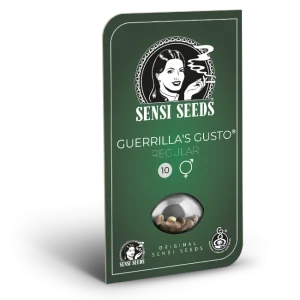 Guerrilla's Gusto Regular Sensi Seeds