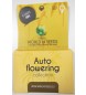 Autoflowering Pack (World of Seeds) Semillas Feminizadas Autoflorecientes