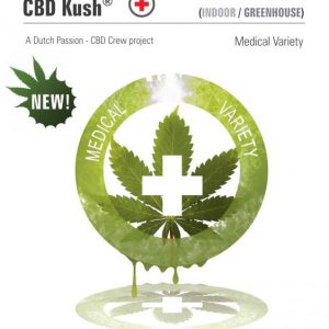 CBD Kush (Dutch Passion) Semilla Feminizada de Marihuana