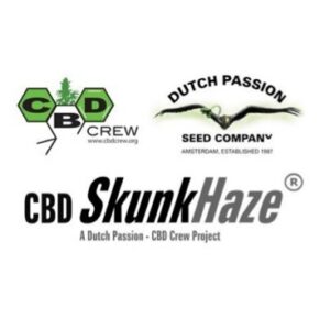 CBD Skunk Haze (Dutch Passion) Semilla Feminizada de Cannabis