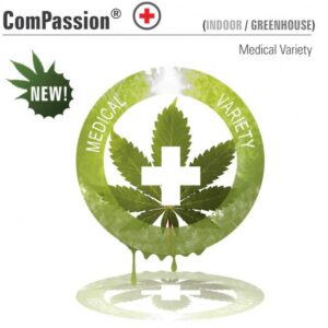 CBD ComPassion  (Dutch Passion) Semilla Feminizada de Cannabis